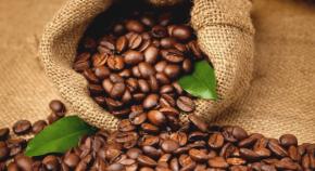 Кофе в зернах - как выбрать лучший, рейтинг сортов и марки с ценами